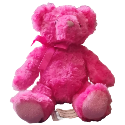 hot pink teddy bear named Pona